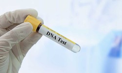 Testy DNA